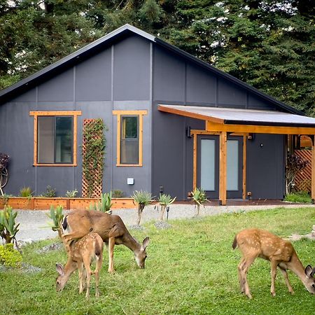 New, Modern, Country-Feel, Close To Arcata Dış mekan fotoğraf