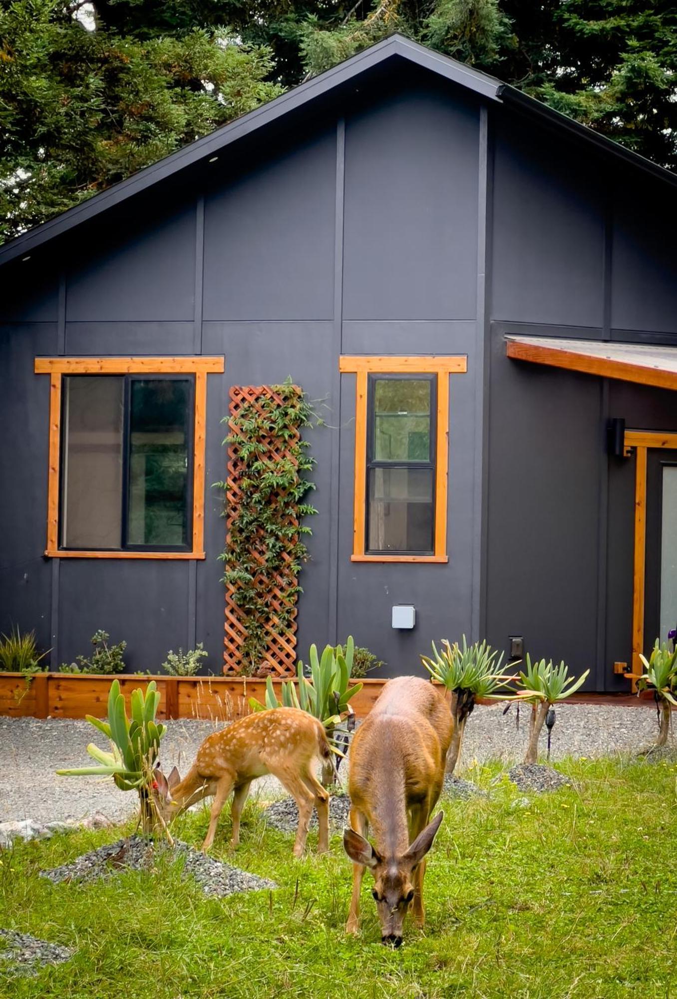 New, Modern, Country-Feel, Close To Arcata Dış mekan fotoğraf