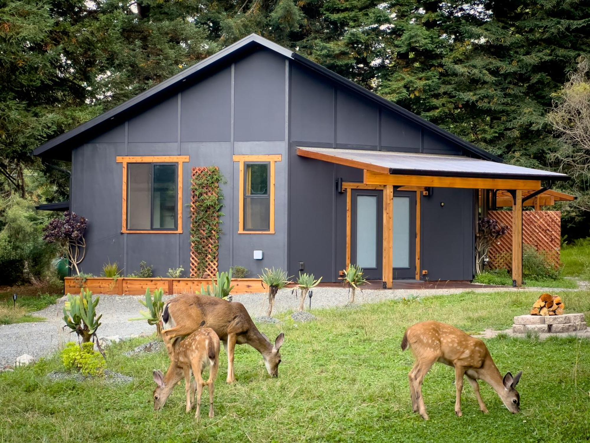 New, Modern, Country-Feel, Close To Arcata Dış mekan fotoğraf